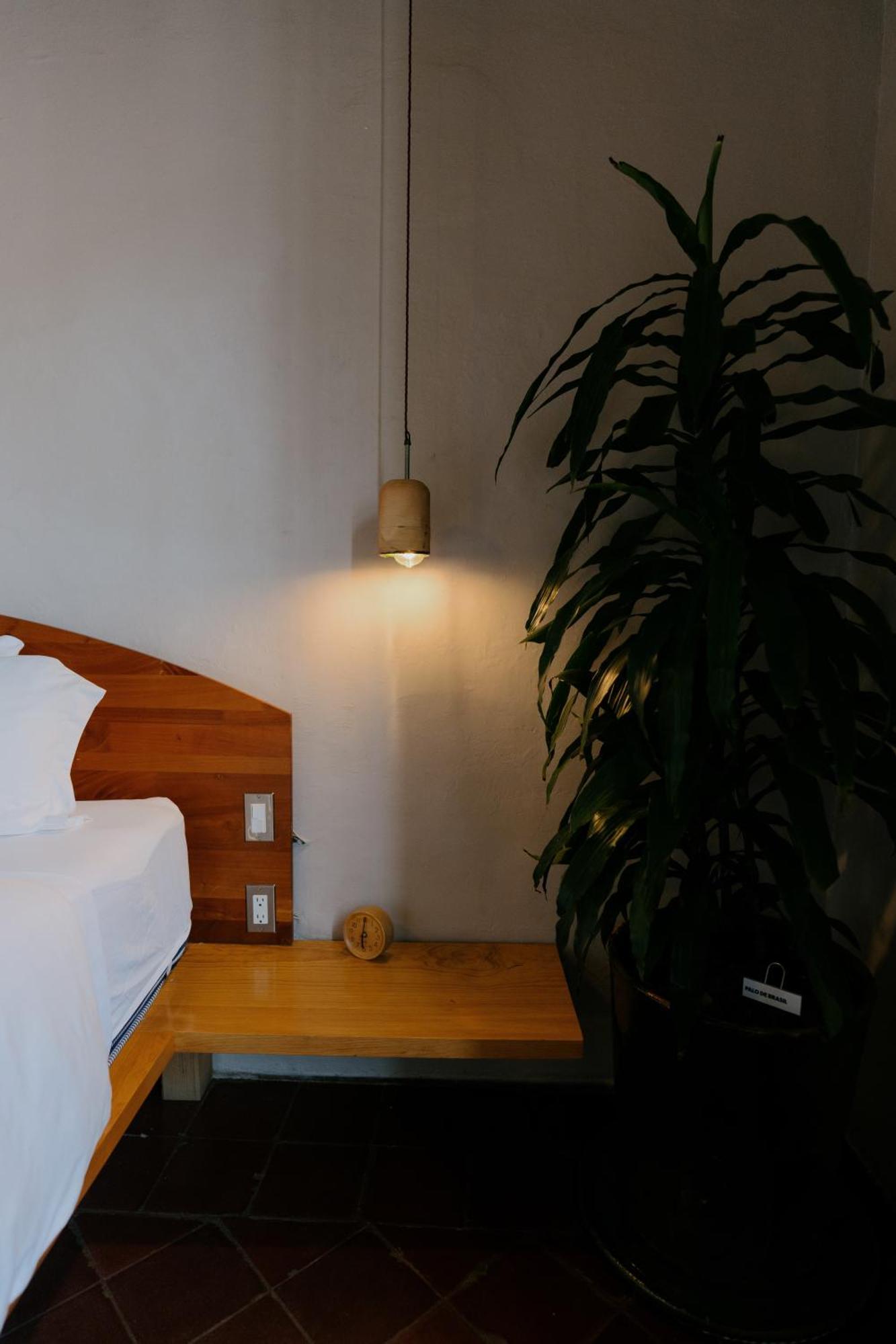 Grana B&B Oaxaca Eksteriør billede